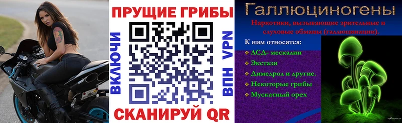 Купить где  Вятские Поляны  Галлюциногенные грибы Psilocybe 